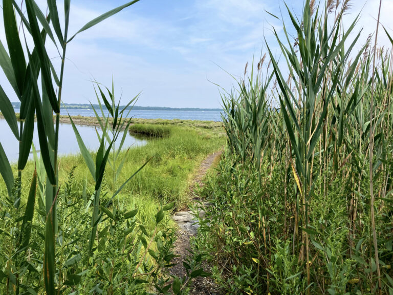 Read more about the article Coastal Exploration